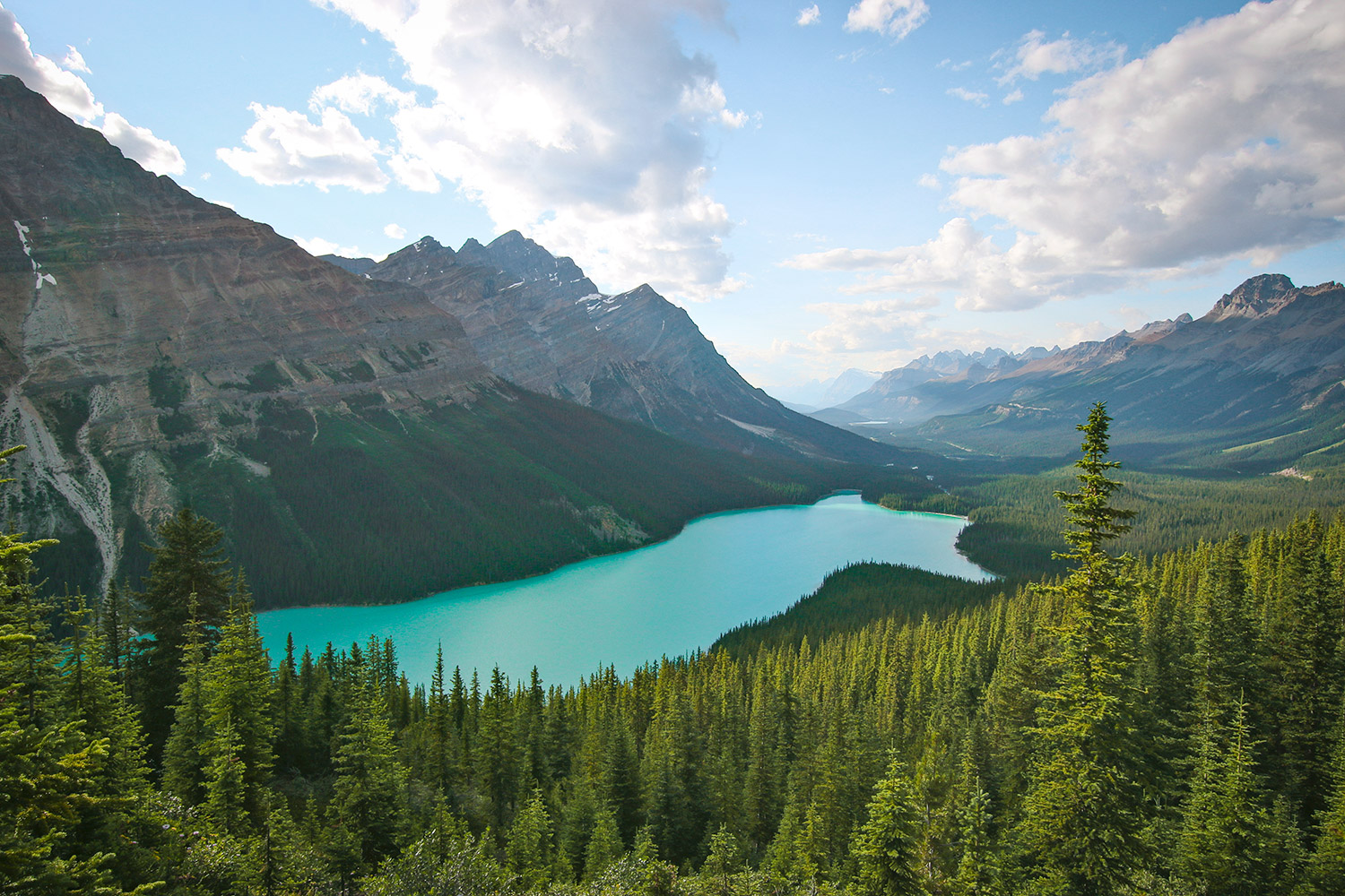 Lac Peyto, Icefield Parkway, Alberta, Rocheuses, Canada / Peyto Lake, Icefield Parkway, Alberta, Rockies, Canada.