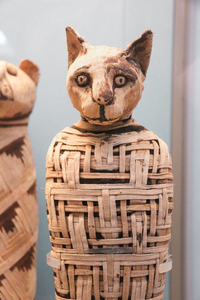 Momie de chat, British Museum, Londres, Angleterre / Mummified cat, British Museum, London, England, UK