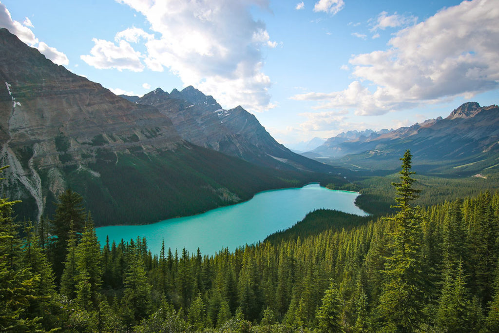 Lac Peyto, Icefield Parkway, Alberta, Rocheuses, Canada / Peyto Lake, Icefield Parkway, Alberta, Rockies, Canada.