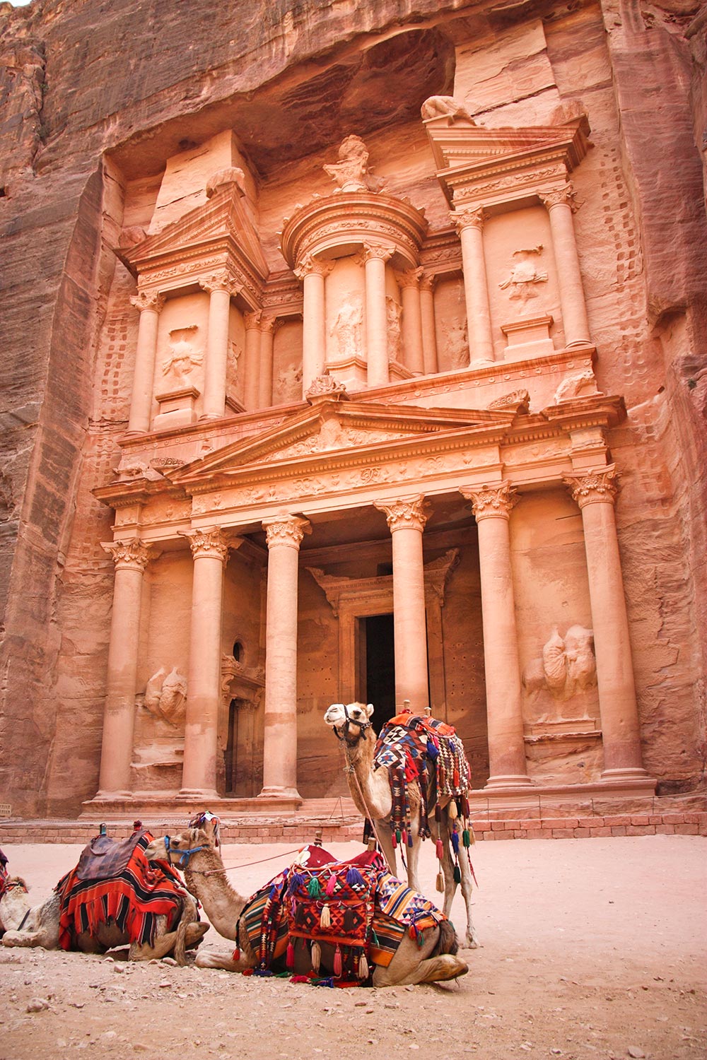 Chameaux, Pétra, jordanie / Camels, Petra, Jordan
