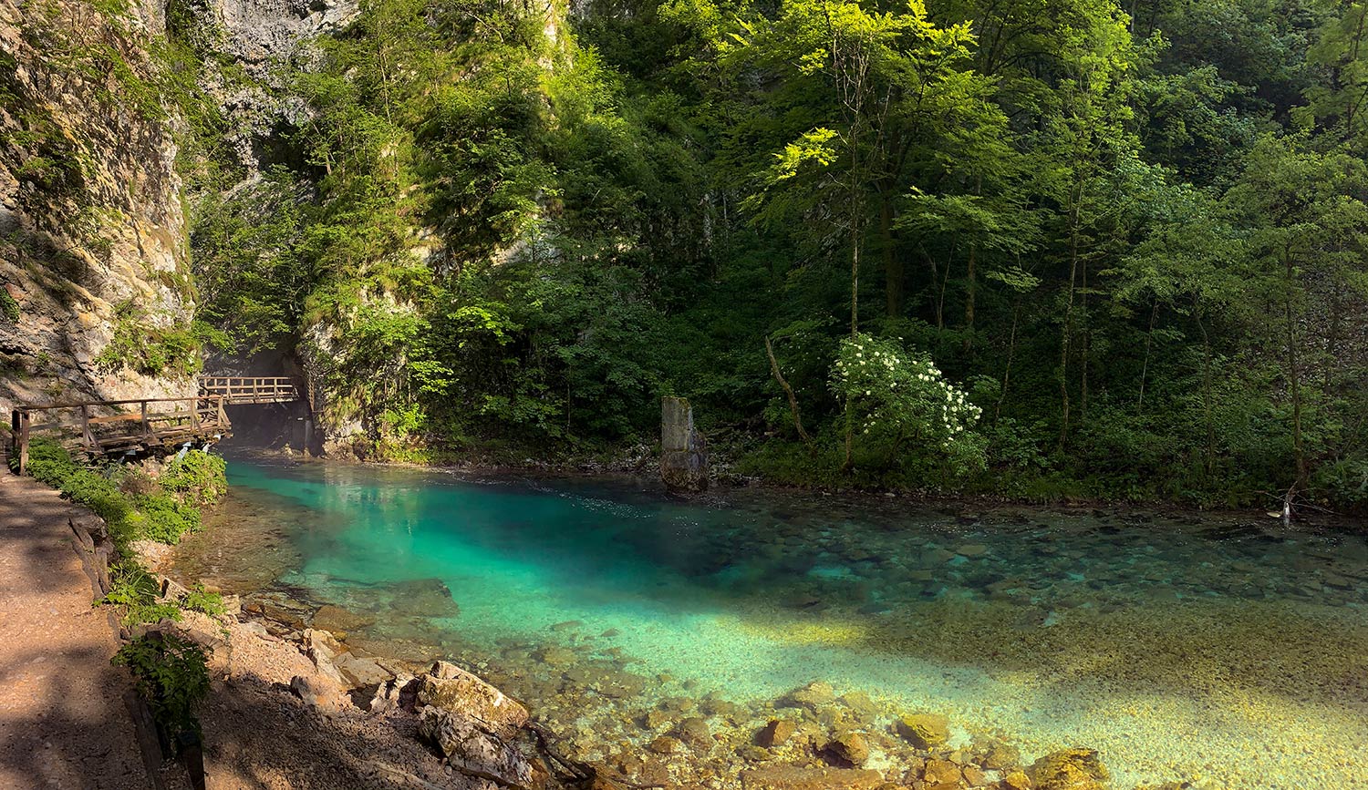 Gorges de Vintgar, Slovénie / Vintgar gorges, Slovenia