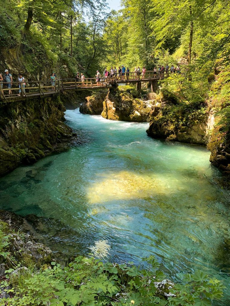 Gorges de Vintgar, Slovénie / Vintgar gorges, Slovenia