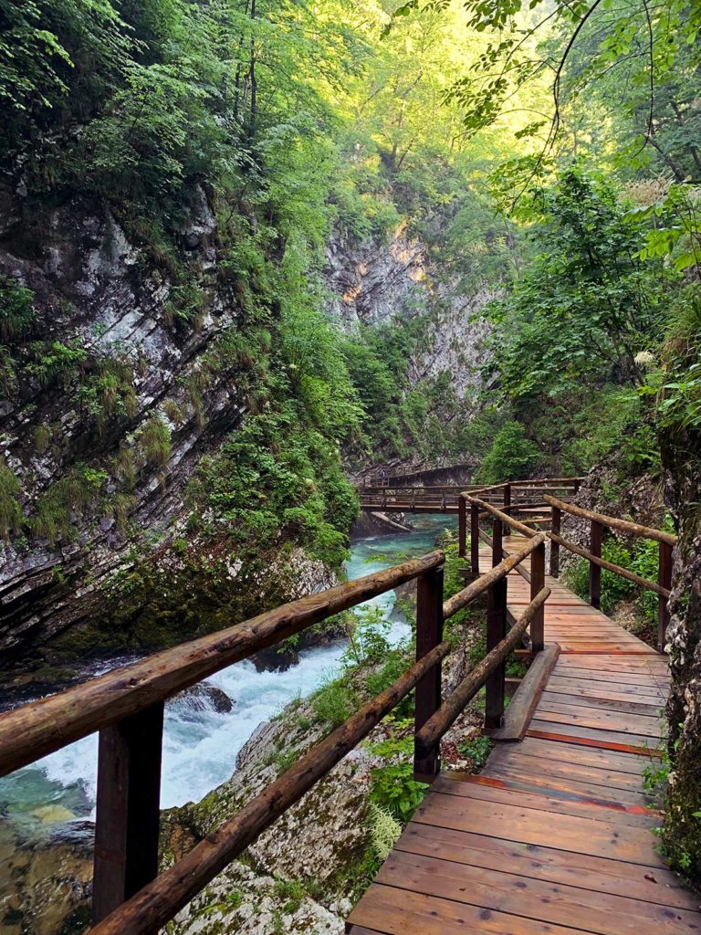 Passerelles, Gorges de Vintgar, Slovénie / Gateways, Vintgar gorges, Slovenia