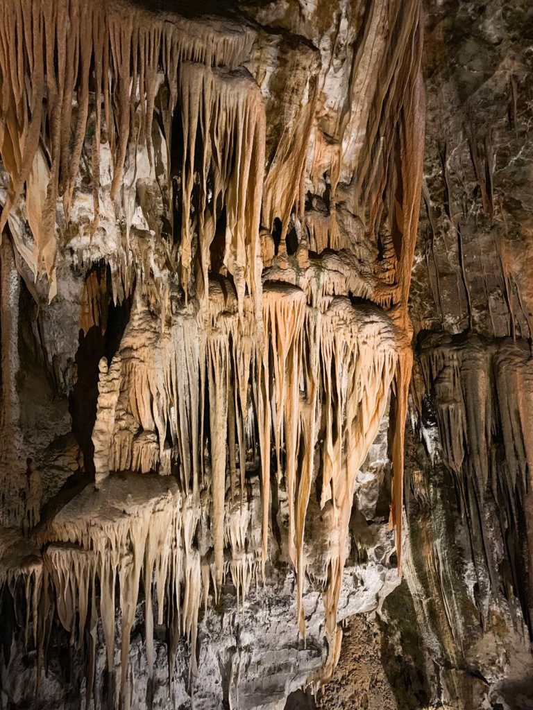 Grottes de Postojna, Slovénie / Postojna Caves, Slovenia