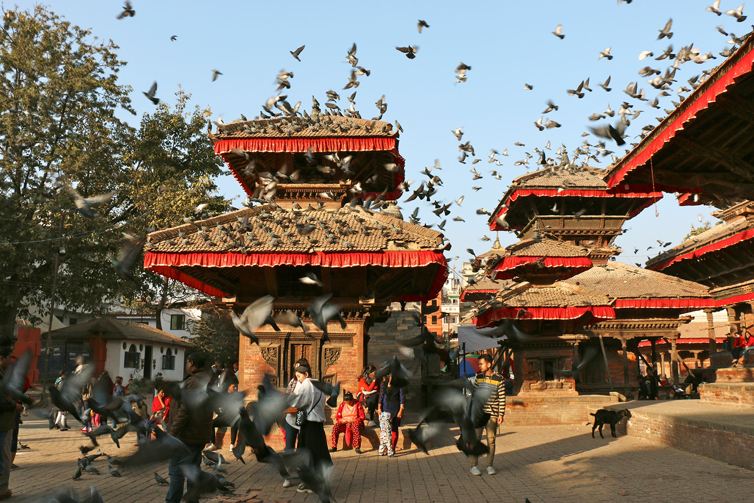Place Durbar, Katmandou, Népal / Durbar Square, Katmandou, Nepal