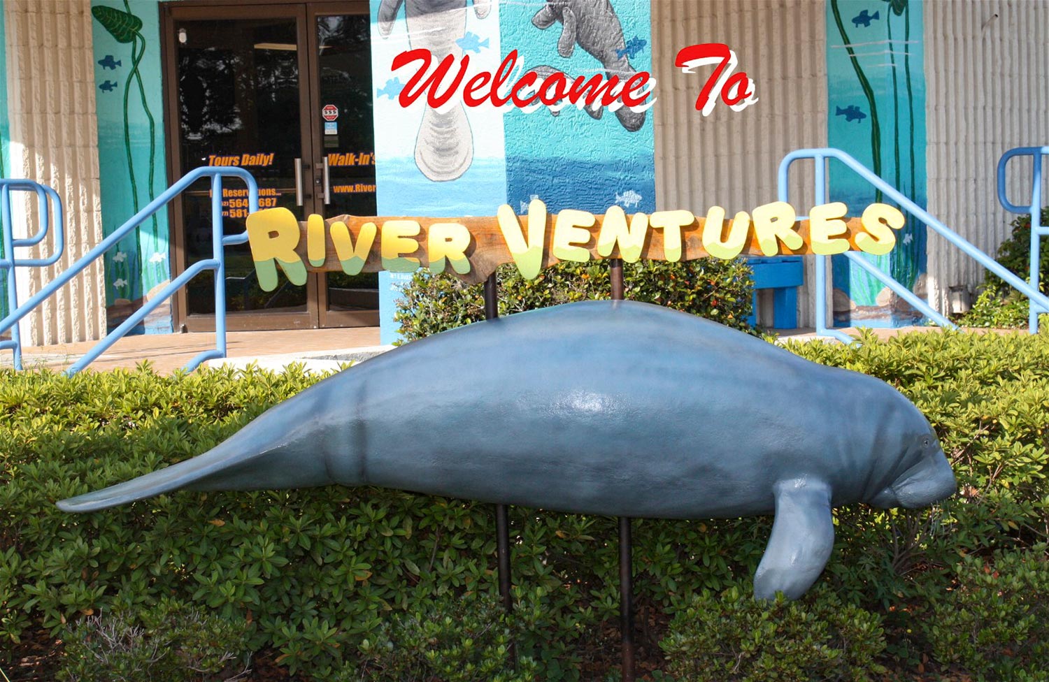 River Ventures, Crystal River, Floride, États-Unis / River Ventures, Crystal River, Florida, USA
