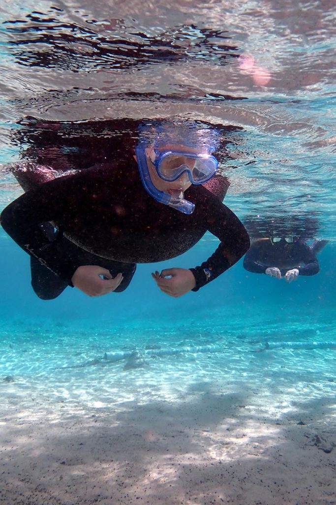 Plongée en apnée, Crystal River, Floride, États-Unis / Snorkeling, Crystal River, Florida, USA