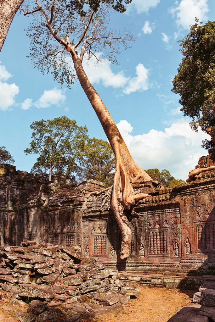 Temple Preah Khan, Angkor, Cambodge / Preah Khan Temple, Angkor, Cambodia