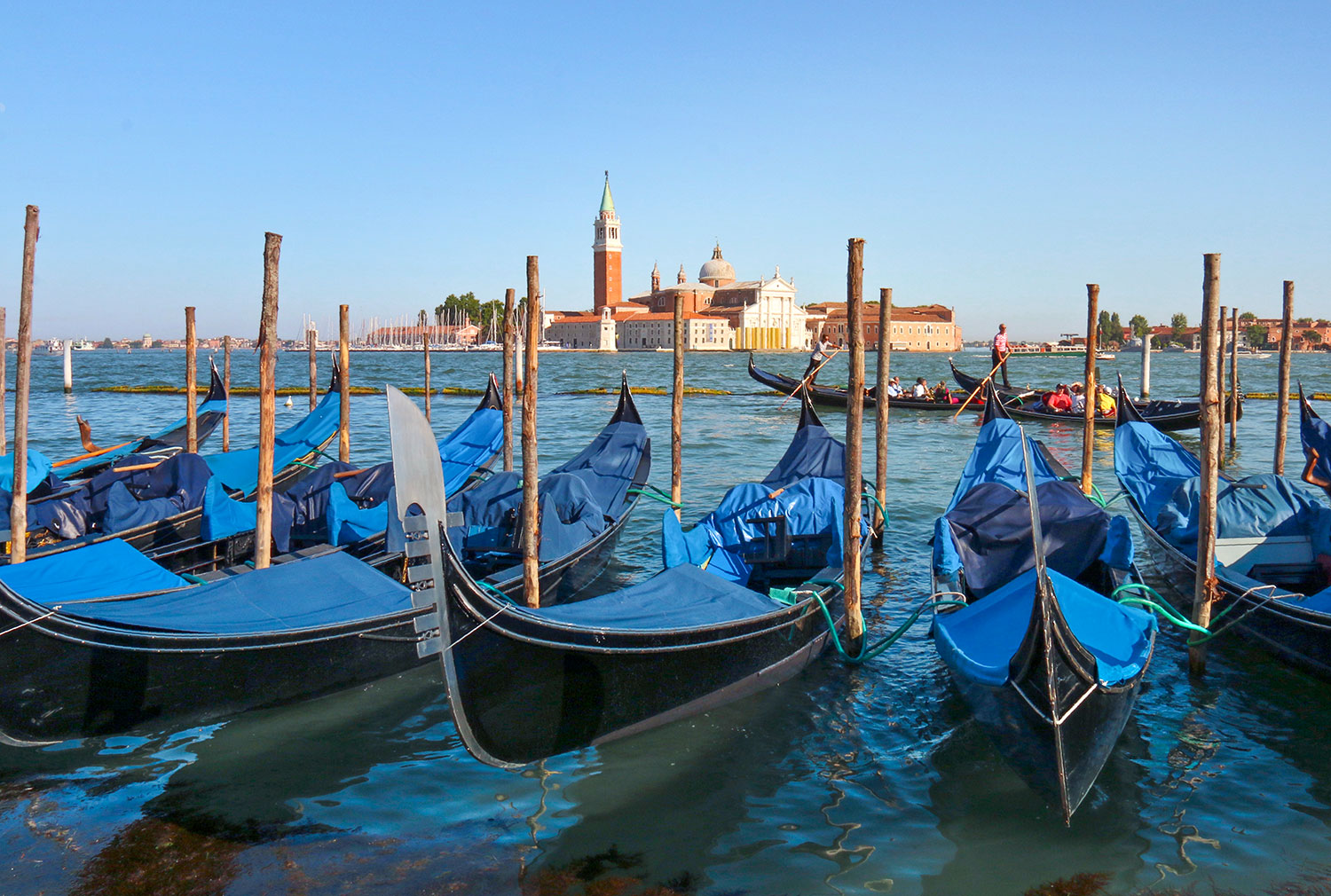 Gondoles, Venise, Italie / Gondola, Venice, Italy
