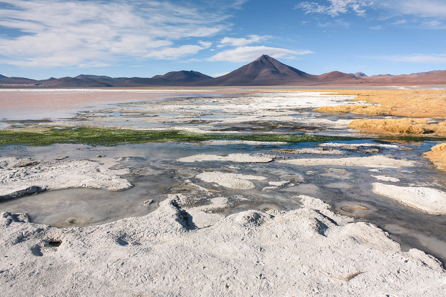 Altiplano, Chili / Altiplano, Chile
