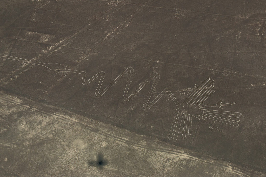 Héron, lignes de Nazca, Pérou / Heron, Nazca lines, Peru