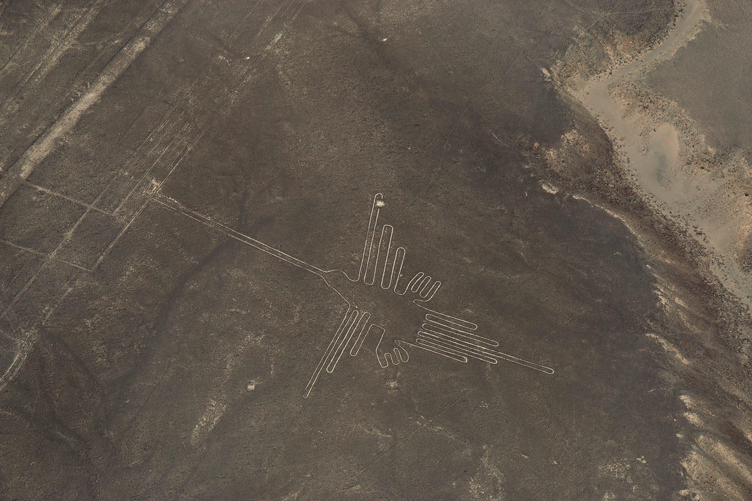 Colibri, lignes de Nazca, Pérou / Hummingbird, Nazca lines, Peru