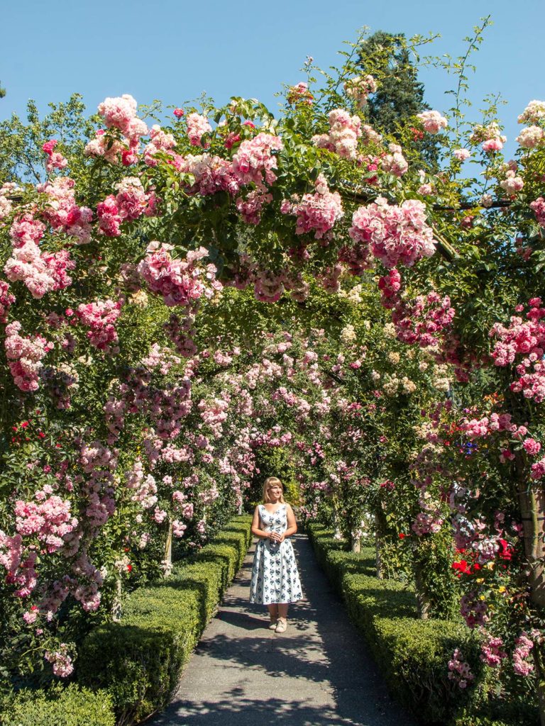 La Roseraie, Jardins Butchart, Victoria, Colombie-Britannique, Canada / Rose Garden, Butchart Gardens, Victoria, BC, Canada