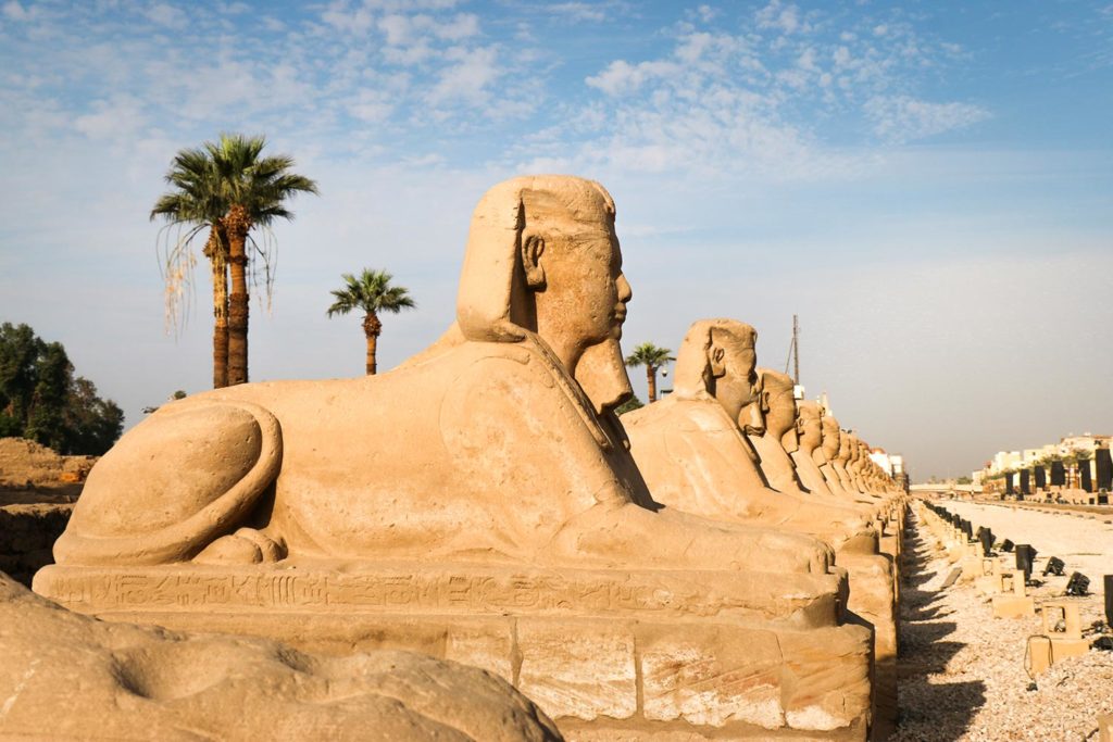 Allée des Sphinxs, Louxor, Égypte / Sphinxes Avenue, Luxor, Egypt