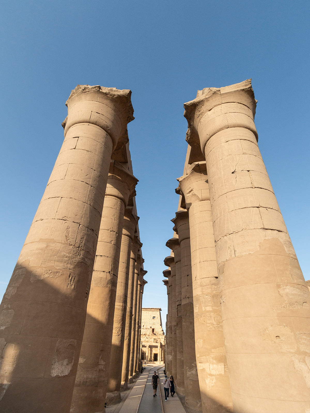 Colonnes, Temple de Louxor, Égypte / Columns, Luxor Temple, Egypt