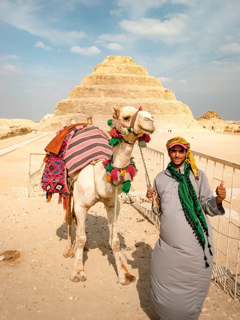 Dromadaire, Pyramide à degrés de Djéser, Saqqara, Égypte / Camel, Step pyramid of Djoser, Saqqara, Egypt
