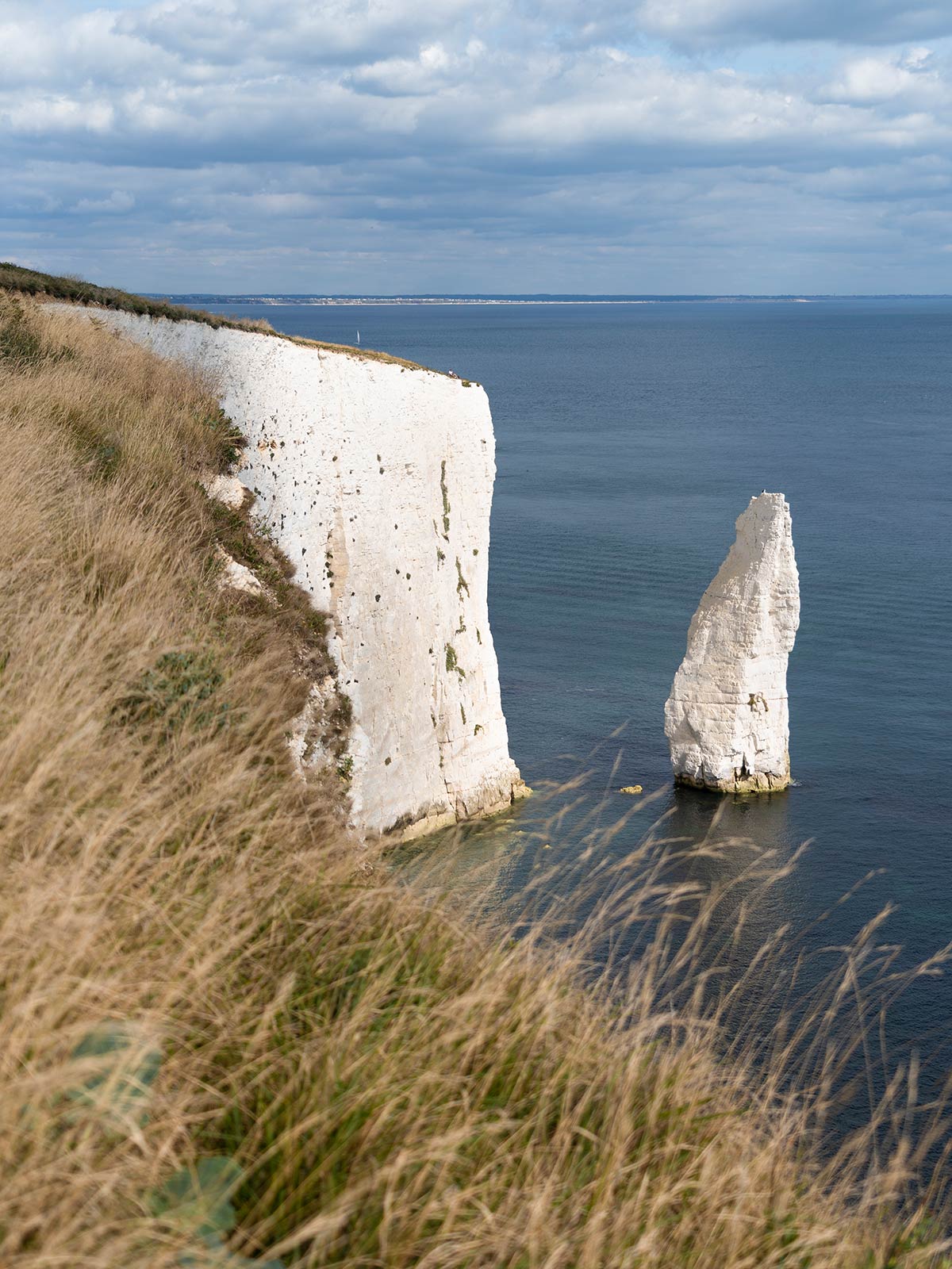 The Pinnacle, Rocher du Vieil Harry, Dorset, Côte jurassique, Angleterre / Old Harry Rocks, Dorset, Jurassic Coast, UK