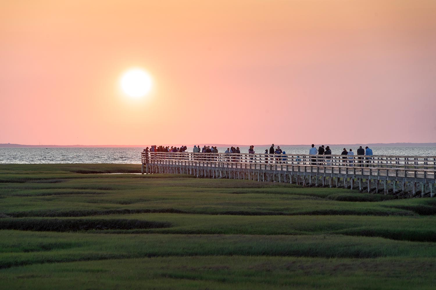 Passerelle, coucher de soleil, Plage de Grays, Cape Cod, Massachusetts, États-Unis / Boardwalk, sunset, Grays Beach, Cape Cod, Massachusetts, USA