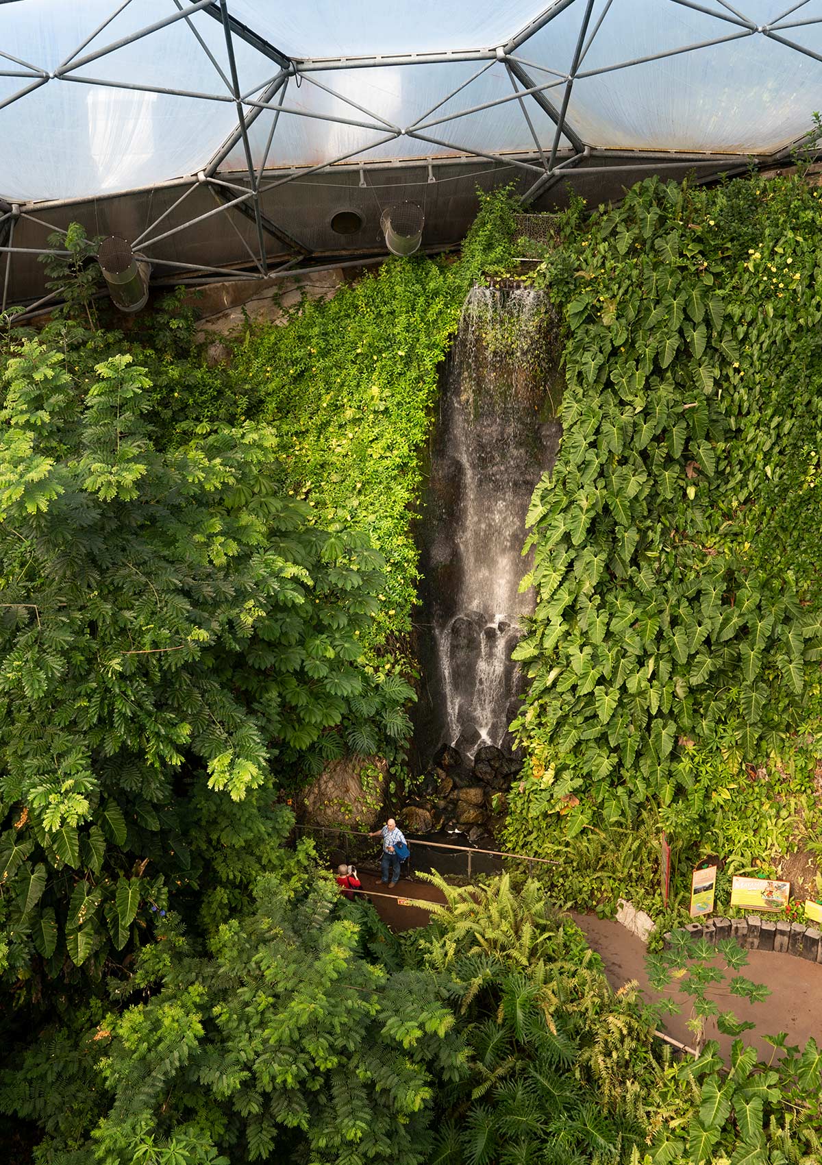 Chute, Biome forêt tropicale, Projet Eden, Cornouailles, Angleterre, Royaume-Uni / Waterfall, Rainforest Biome, Eden Project, Cornwall, England, UK