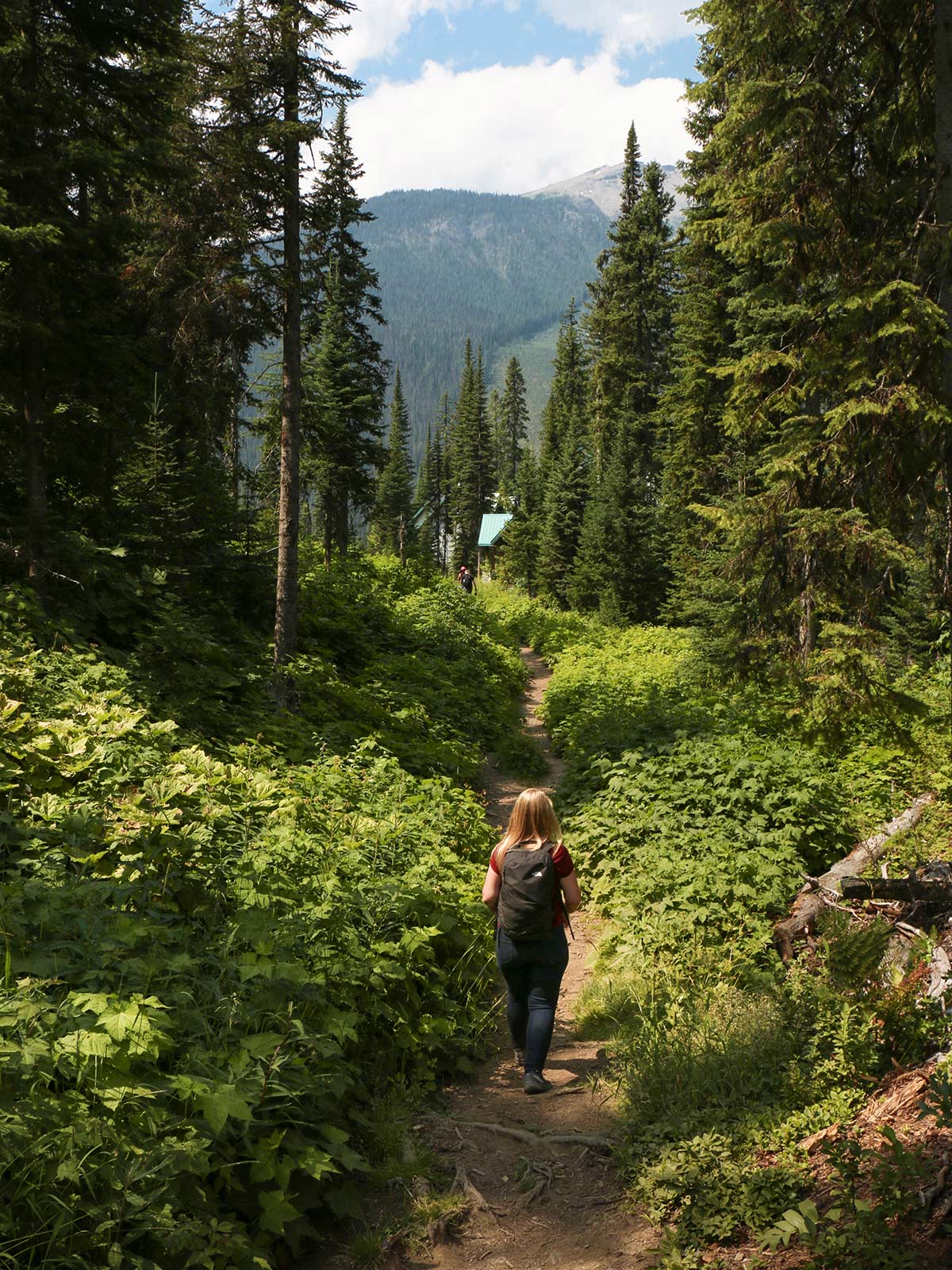 Sentier de randonnée, Lac Émeraude, Parc National Yoho, Rocheuses canadiennes, Canada / Hiking trail, Emerald Lake, Yoho National Park, Canadian Rockies, Canada