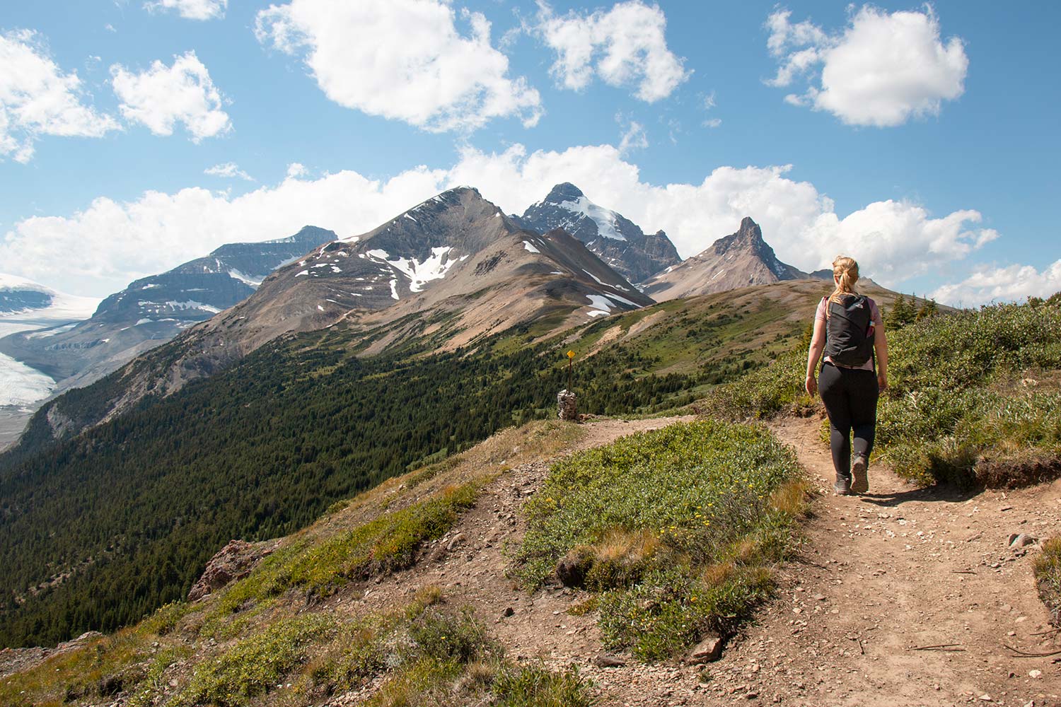 Sentier de randonnée à Parker Ridge, Alberta, Rocheuses, Canada / Parker Ridge hiking trail, Alberta, Rockies, Canada