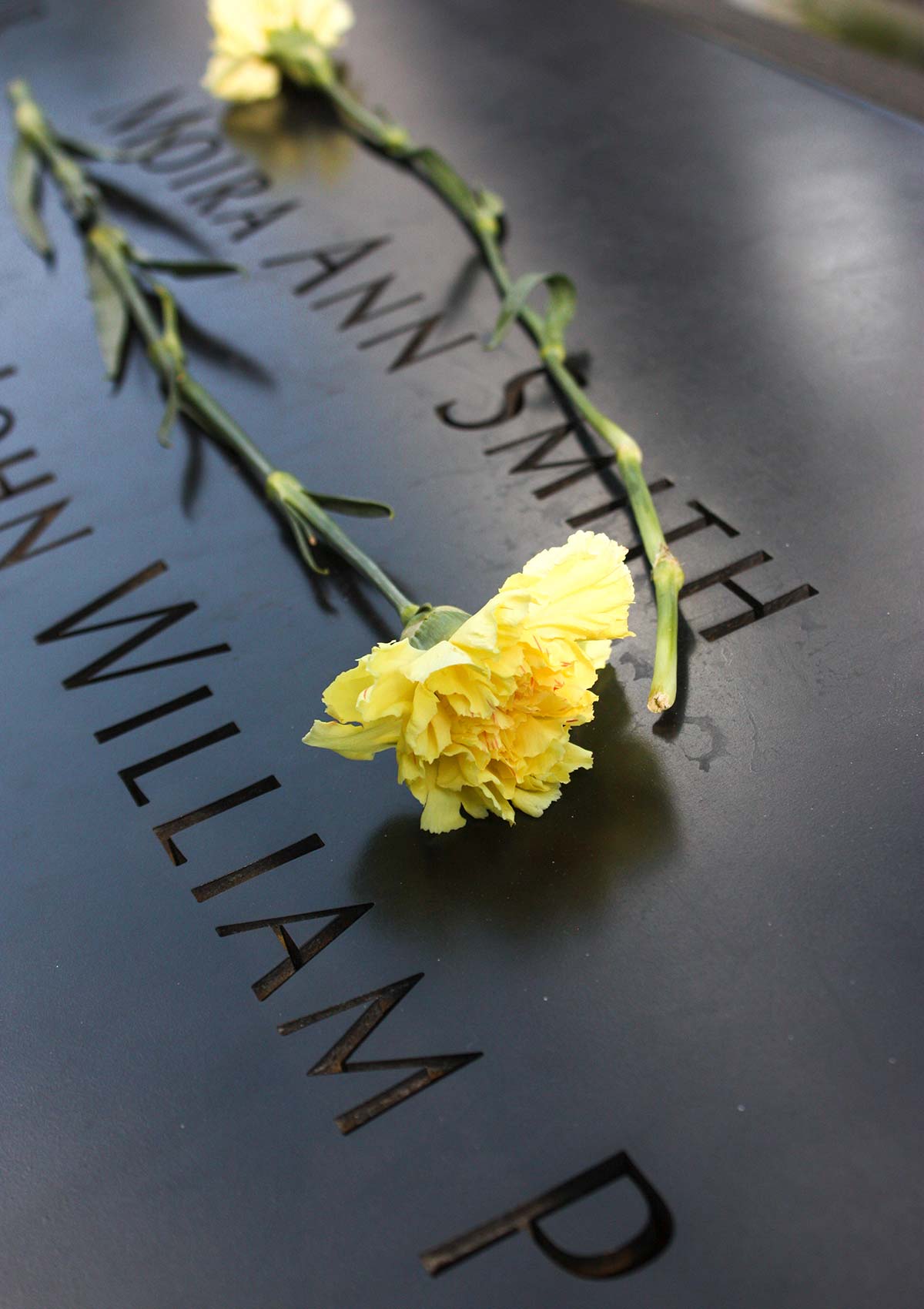 Fleurs, Mémorial du 11 septembre, New York, États-Unis / Flowers, 9/11 Memorial, NY, NYC, USA