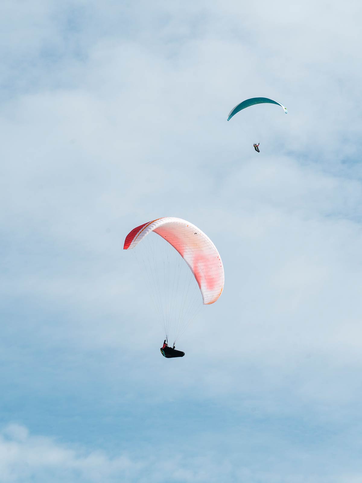Parapente, Seven Sisters, East Sussex, Angleterre, Royaume-Uni / Parasailing, East Sussex, England, UK