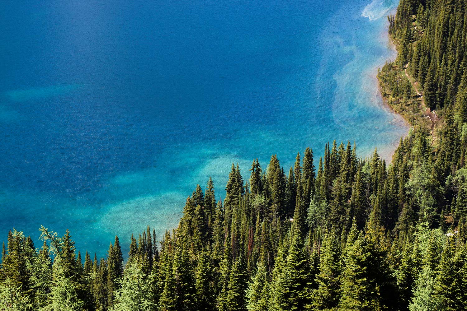 Lac Cérulean, Mont Assiniboine, Colombie-Britannique, Rocheuses, Canada / Cerulean Lake, Mount Assiniboine, British Columbia, Rockies, Canada.