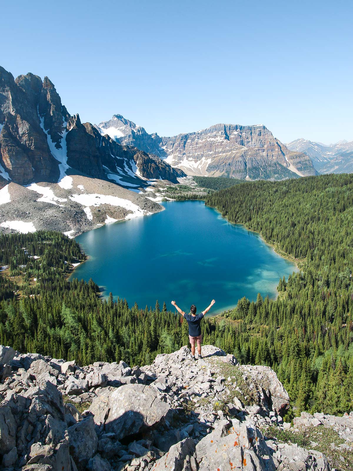 Lac Cérulean, Randonnée du Niblet, Mont Assiniboine, Colombie-Britannique, Rocheuses, Canada / Cerulean Lake, Niblet hike, Mount Assiniboine, British Columbia, Rockies, Canada.