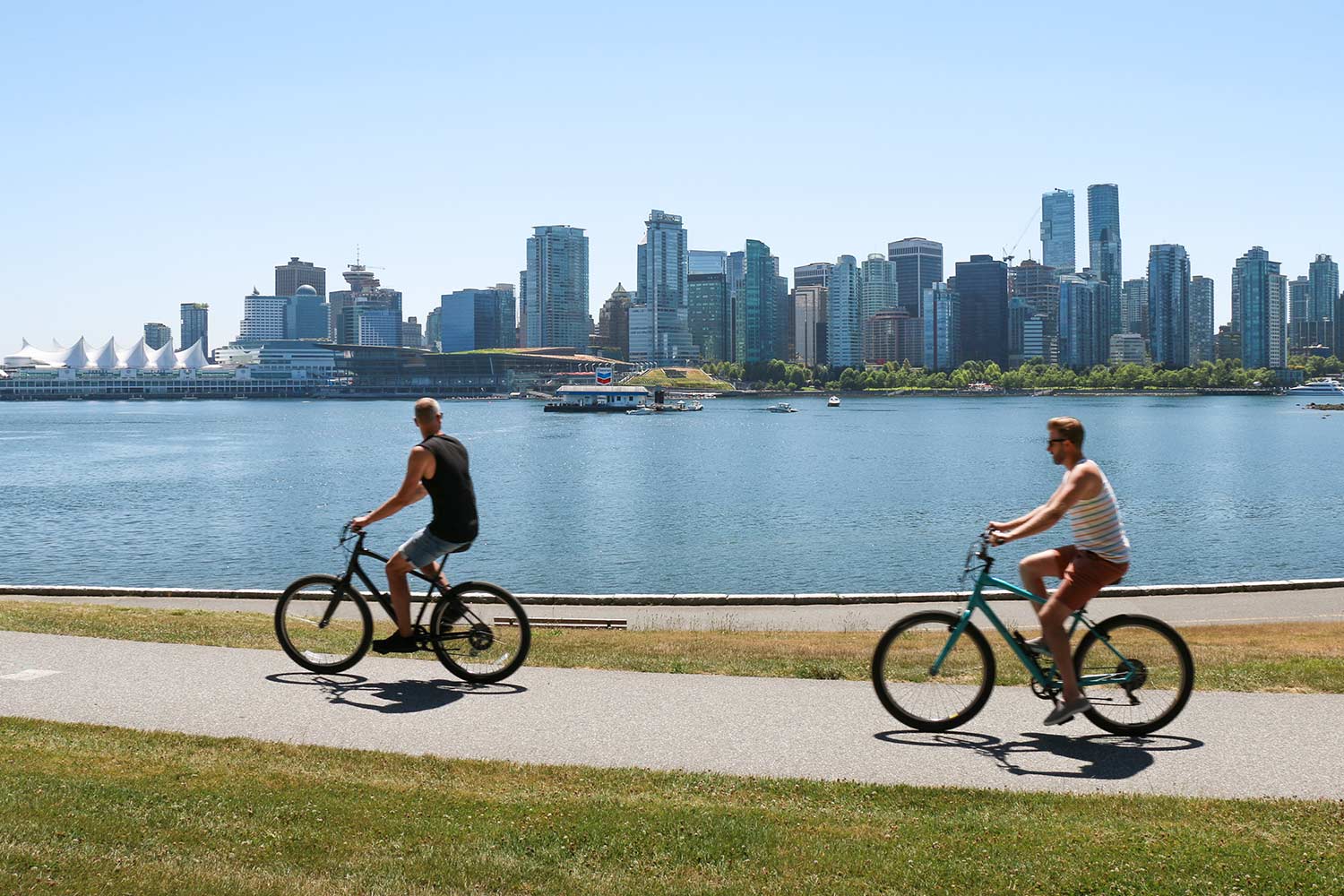 Pistes cyclables Vélo, Seawall, Parc Stanley, Vancouver, Colombie-Britannique, Canada / Bike Path, Seawall, Stanley Park, Vancouver, BC, Canada