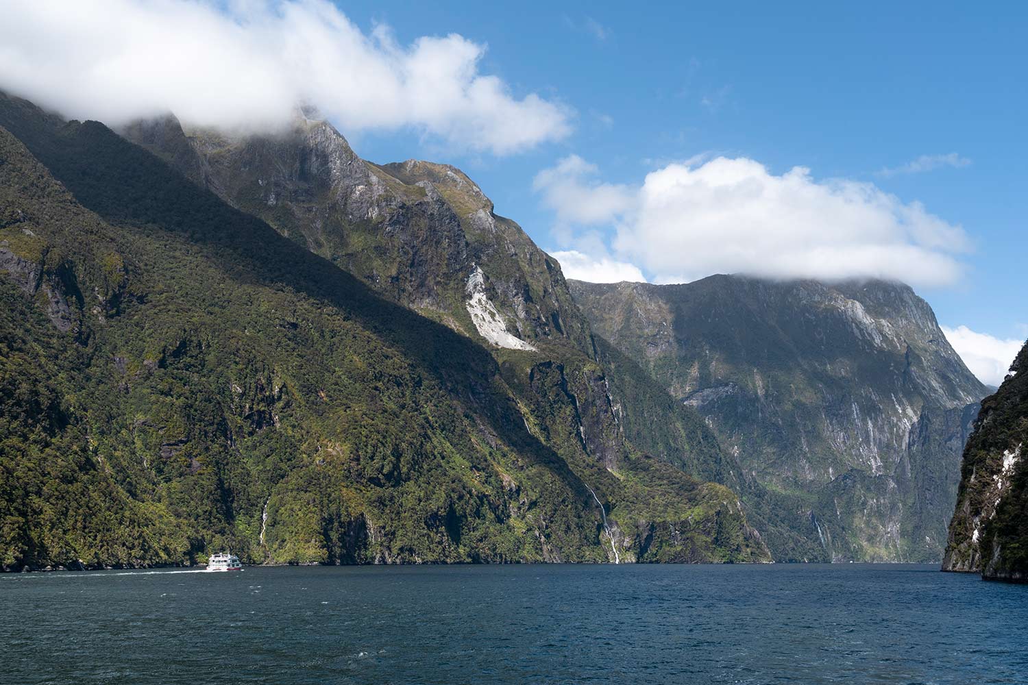 Fjord de Milford Sound, île du Sud, Nouvelle-Zélande / Milford Sound Fiord, South Island, New-Zealand, NZ, Aotearoa