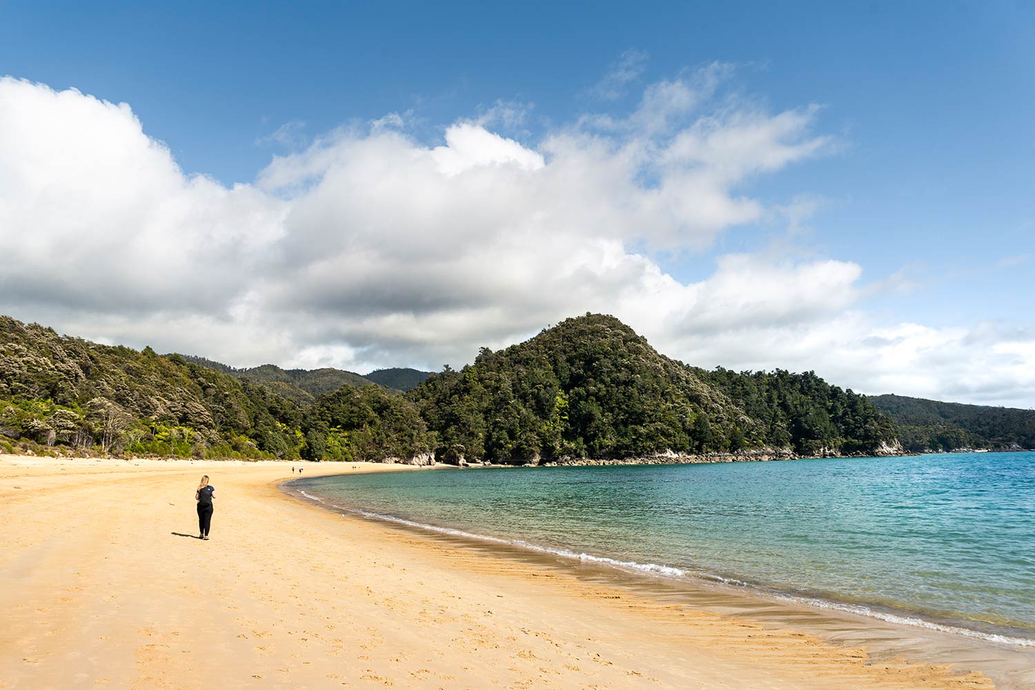 Plage, Randonnée, Abel Tasman, Nouvelle-Zélande / Beach, Abel Tasman Great Walk, New Zealand, NZ