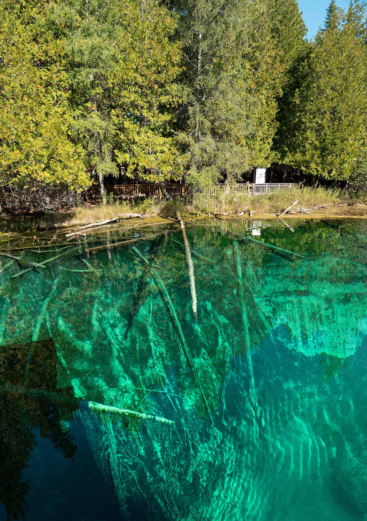 Source Kitch-iti-kipi, Michigan, États-Unis / Kitch-iti-kipi Source, Michigan, USA