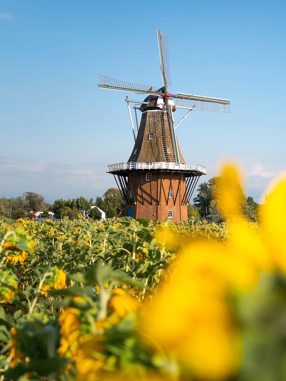 Moulin, Jardins Windmill Island Gardens, Holland, Michigan, États-Unis / Windmill, Windmill Island Gardens, Holland, Michigan, USA