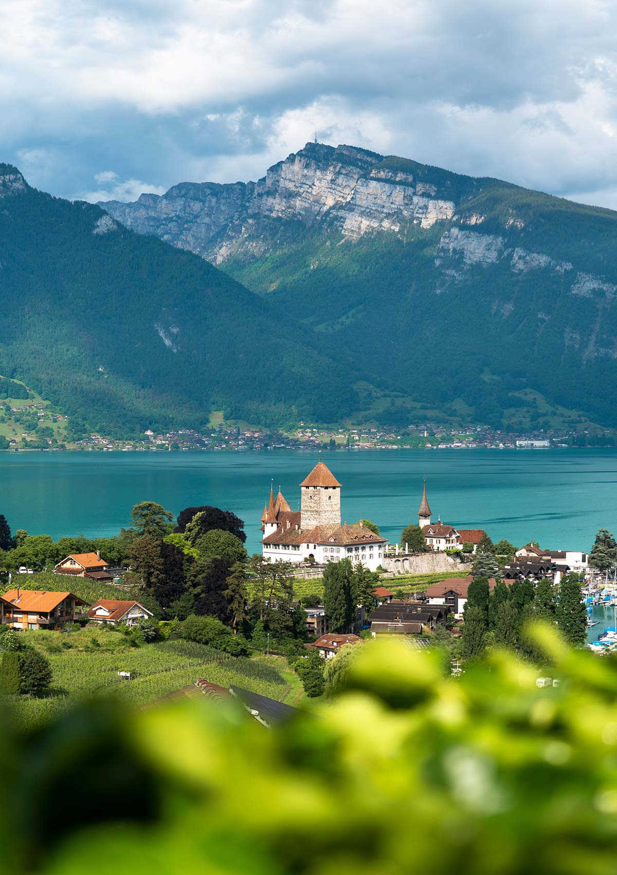 Château de Spiez, Lac de Thoune, Alpes, Spiez, Suisse / Spiez Castle, Thun Castle, Alps, Spiez, Switzerland