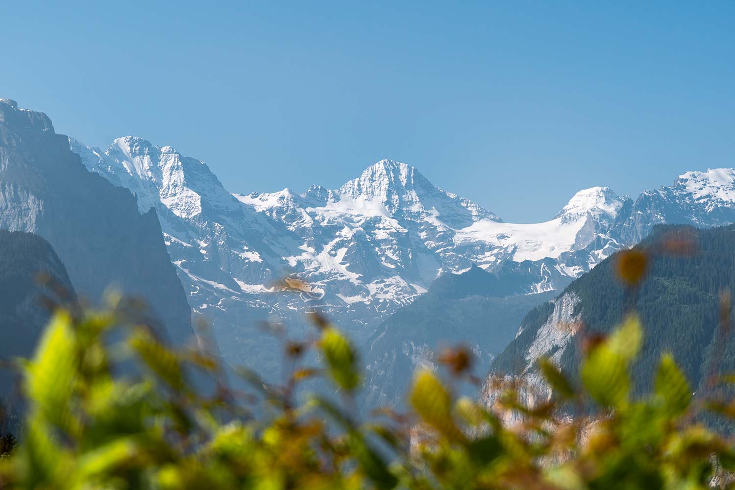 Les Alpes bernoises, Montagne Jungfrau, Interlaken, Suisse / Bernese Alps, Jungfrau Mountain, Interlaken, Switzerland